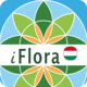 iFlora of Hungary
