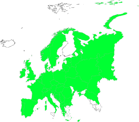 Anacamptis morio