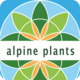 iFlora - Alpine plants