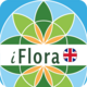 iFlora - Flora of Great Britain
