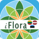 iFlora - Flora of Estonia, Latvia, and Lithuania