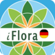 iFlora of Germany