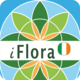 iFlora of Ireland