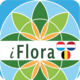 iFlora of Belgium, The Netherlands, and Luxembourg