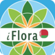 iFlora - Flora of Belarus