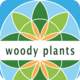 iFlora - Woody plants