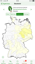 Verbreitung der Pennsylvanischen Esche (Fraxinus pennsylvanica) in Deutschland