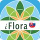 iFlora - Flora of Slovakia