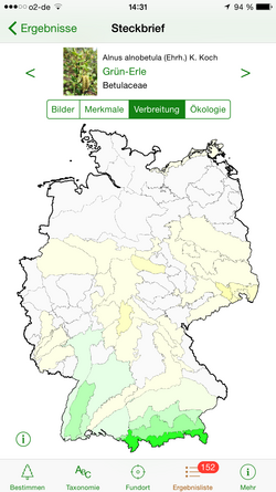 Verbreitung der Grün-Erle (Alnus alnobetula) in Deutschland