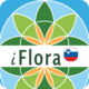 iFlora of Slovenia