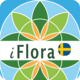 iFlora of Sweden