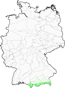 Gentiana bavarica