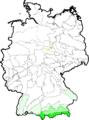 Poa alpina (Alpen-Rispengras) - Verbreitungskarte