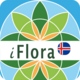 iFlora of Iceland
