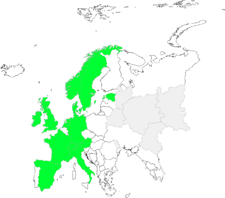 Taraxacum sect. Obliqua