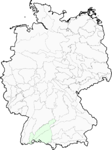 Scorzonera austriaca