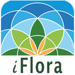 Logo i-flora